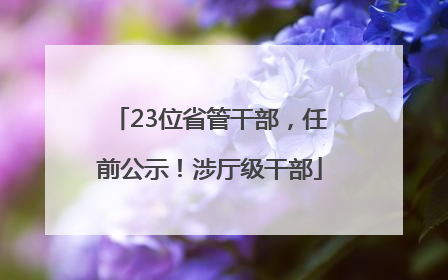 23位省管干部，任前公示！涉厅级干部